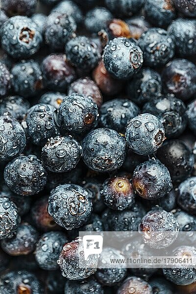 Foodfotografie  Heidelbeeren (Vaccinium myrtillus)  Blaubeeren mit Wassertropfen  Nahaufnahme