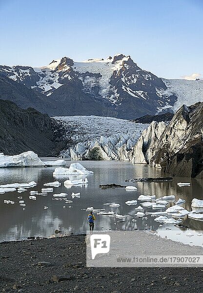 Wanderer steht auf einem Felsen  Spiegelung in der Gletscherlagune Svínafellslon mit Eisschollen  Gletscherzunge Svínasfellsjökull  hinten vergletscherter Berggipfel Hrútfjallstindar  bei Sonnenuntergang  Svínafell  Island  Europa