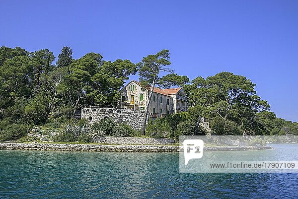 Villa Jezero  Insel Mljet  Gespanschaft Dubrovnik-Neretva  Kroatien  Europa
