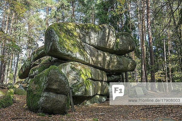 Cristoph-Stein  Granitformation  Naturpark Blockheide  Gmünd  Waldviertel  Niederösterreich  Österreich  Europa