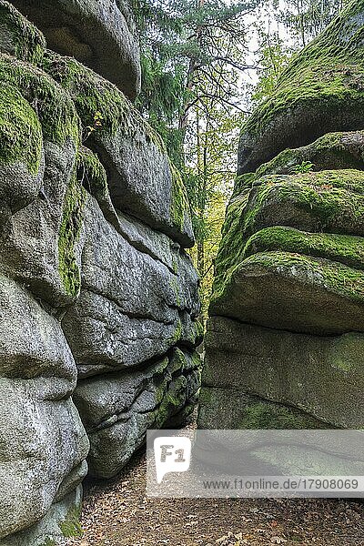 Cristoph-Stein  Granitformation  Naturpark Blockheide  Gmünd  Waldviertel  Niederösterreich  Österreich  Europa