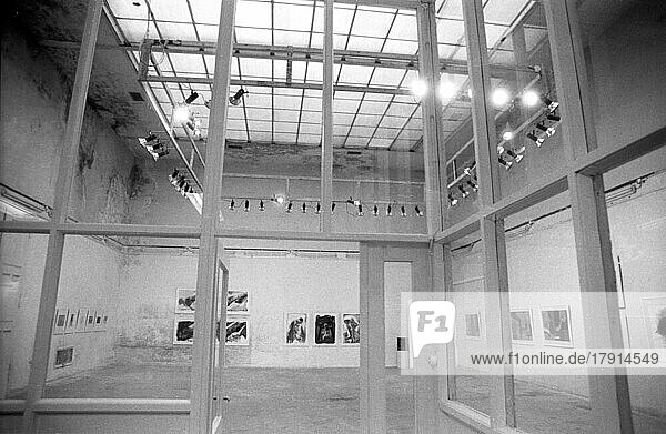 Deutschland  Berlin  13. 01. 1991  Galerie am Pariser Platz  ehemalige Akademie der Künste der DDR  Ausstellung  Europa