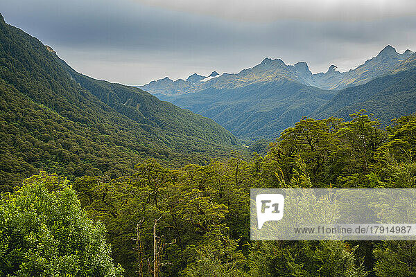 Wald und Berge des Fiordland-Nationalparks  UNESCO-Welterbe  Südinsel  Neuseeland  Pazifik