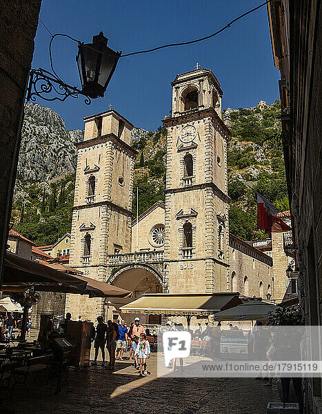 Kathedrale von St. Tryphon  Kotor  Montenegro  Europa
