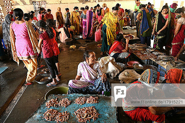 Geschäftiger Frischfischmarkt am Kai  Vanakbara  Gujarat  Indien  Asien