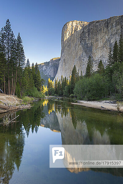 El Capitan spiegelt sich im Fluss Merced in der Morgendämmerung  Yosemite Natiional Park  UNESCO Weltkulturerbe  Kalifornien  Vereinigte Staaten von Amerika  Nord Amerika