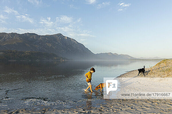 South Africa  Hermanus  Boy (8-9) with dogs exploring Grotto Beach