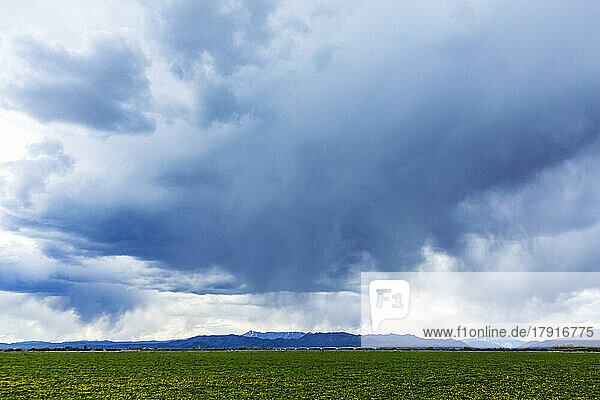 Usa  Idaho  Bellevue  Storm clouds above green field