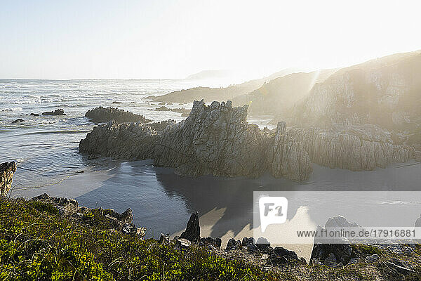 South Africa  Western Cape  Hermanus  Cliffs along Voelklip Beach