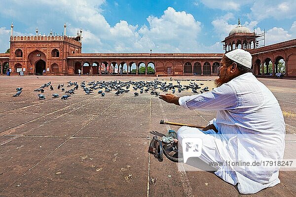 DELHI  INDIEN  29. AUGUST 2011: Muslimischer Mann füttert Tauben in Indiens größter Moschee Jama Masjid. Tauben werden in der islamischen Religion respektiert