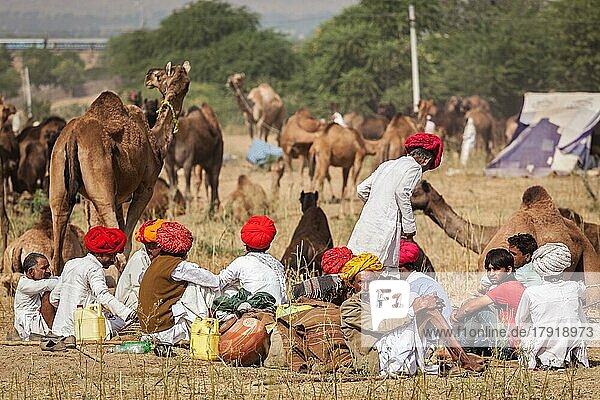 PUSHKAR  INDIEN  20. NOVEMBER 2012: Indische Männer und Kamele auf der Pushkar-Kamelmesse (Pushkar Mela)  einer jährlichen fünftägigen Kamel- und Viehmesse  einer der größten Kamelmessen und Touristenattraktion der Welt