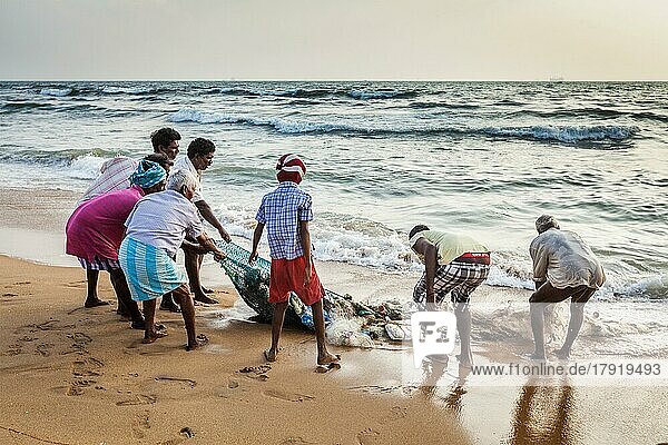 CHENNAI  INDIEN  10. FEBRUAR 2013: Indische Fischer ziehen das Fischernetz mit ihrem Fang aus dem Meer am Marina Beach  Chennai  Tamil Nadu