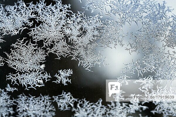 Eiskristalle  Schneekristalle auf Glas  Fensterscheibe einer Wohnung im Winter  Gegenlicht  Symbolbild  Hintergrundbild