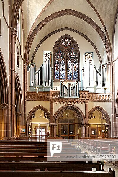 Innenansicht mit Empore und Orgel der neugotischen St. Peter Kirche  Heppenheim  Bergstraße  Hessen  Deutschland  Europa
