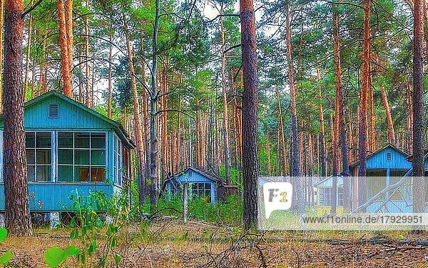 Bungalows im Wald  Kinderferienlager Isumrudnyi  Lost Place  Sperrzone Tschernobyl  Ukraine  Osteuropa  Europa