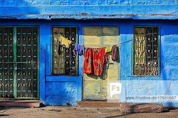 Lebendig blau gestrichenes Haus Jodphur  die Blaue Stadt  Rajasthan  Indien  Asien