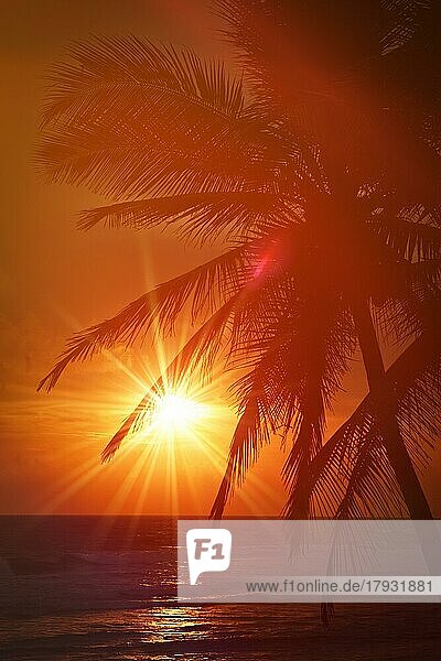 Beach Resort Urlaub Urlaub Hintergrund  tropischen Ozean Sonnenuntergang Szene mit Palmen. Kopierbereich