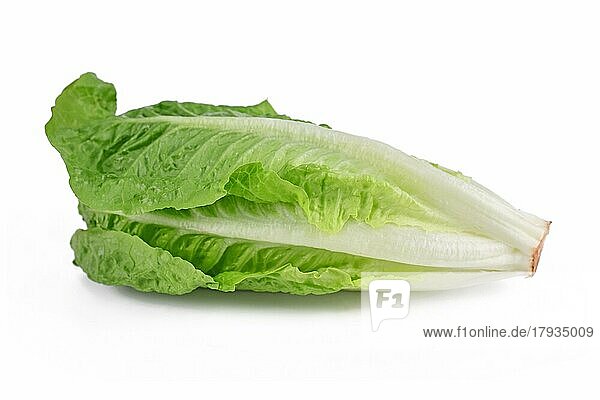 Römischer Salat Gemüse auf weißem Hintergrund