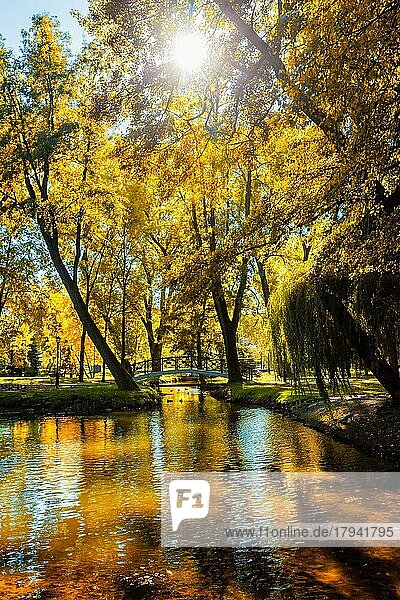 Herbstfarben  Herbst im Park mit gelben Blättern Laub Bäume spiegeln sich im Fluss Wasser