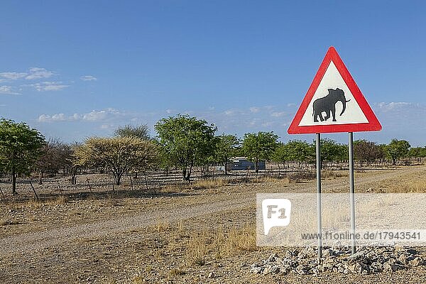 Verkehrsschild mit Warnung vor Elefanten  Namibia  Afrika
