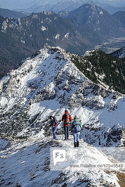 Bergsteiger im Winter  Wanderung zur Ammergauer Hochplatte in den Ammergauer Alpen  Bayern  Deutschland  Europa