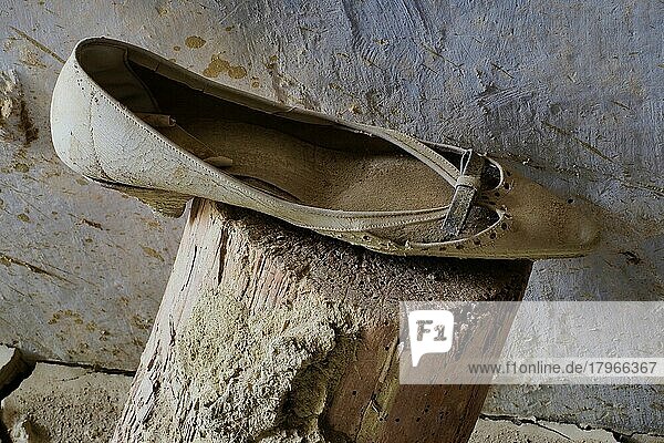 Damenschuh mit Schleife auf Holzstamm  maroder Schuh aus Leder steht auf Holz  verrotteter Schuh  Schuhwrack  vergammelter Treter  ausgelatschter Schuh  abgetragener Schuh  alter Schuh
