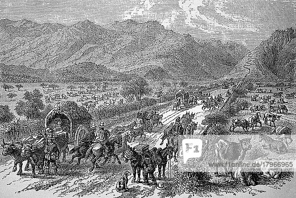 Rural road traffic in the Andes between Argentina and Chile  in the year 1880  Historical  digital reproduction of an original 19th century original