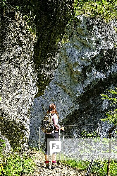 Wanderer in der Kaiserklamm  Brandenberger Ache  Brandenberg  Kramsach  Tirol  Österreich  Europa