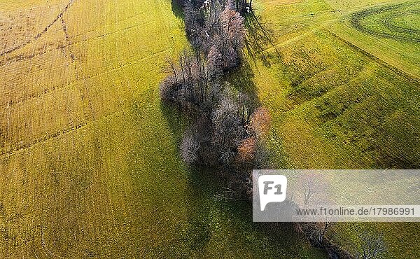 Drone image  river course through agricultural landscape with autumnal deciduous trees  Mondseeland  Salzkammergut  Upper Austria  Austria  Europe
