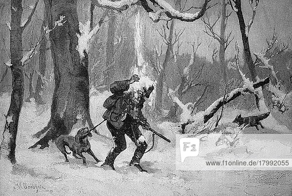 Jägerpech  der Jäger auf der Pirsch im Winter wird von einer Schneemenge getroffen  die von einem Baum fällt  Winterwald  Historisch  digitale Reproduktion einer Originalvorlage aus dem 19. Jahrhundert  Originaldatum nicht bekannt