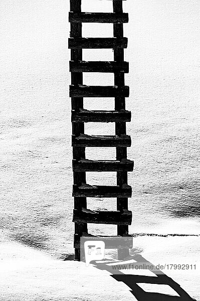 Ladder at hunter's stand in wintry landscape  black and white  Scharzwassertal  Ritzlern  Kleinwalsertal  Vorarlberg  Austria  Europe