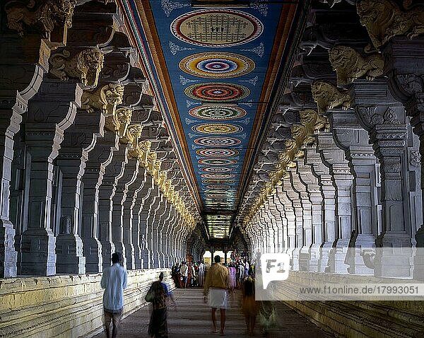 Ramanathaswamy-Tempelkorridor in Rameswaram  Rameshwaram  Tamil Nadu  Indien. Der äußere Korridor ist angeblich der längste der Welt und mißt etwa 22. 6 Fuß in der Höhe  jeweils 400 Fuß im Osten und Westen und etwa 640 Fuß im Norden und Süden