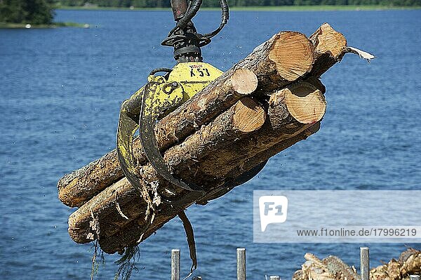 Verladung von Baumstämmen mit Greifer auf Holzkahn  Schärensee  Ostsee  Schweden  Juni  Europa