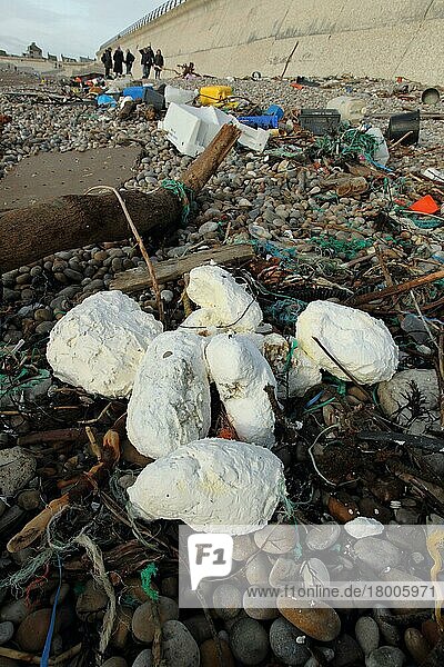 Ranziges Pflanzenöl inmitten des am Strand angespülten Mülls  Chesil Beach  Dorset  England  Februar