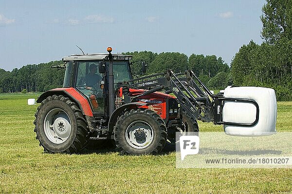 Massey Ferguson 6290 Traktor mit mechanischem Lader  der kunststoffumhüllte Silage-Rundballen transportiert  Schweden  Europa