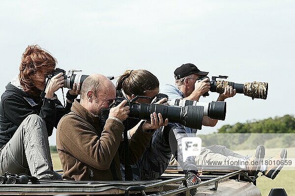 Tourists  photographers taking pictures of wildlife along the Mara River during the great wildebeest migration  Masai Mara National Reserve  Kenya  Africa