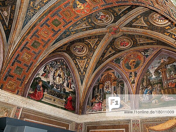 Frescos by Raphael  Fresco  Raun of Constantine  Raphael Rooms  Stanze di Raffaello  Apostolic Palace  Vatican  Rome  Lazio  Latium  Italy  Europe  Vatican City  Europe