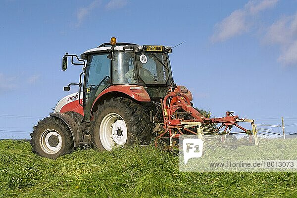 Steyr-Traktor mit Zettwender  Wenden von Gras auf einer Heuwiese im Hochland  Cumbria  England  Juli