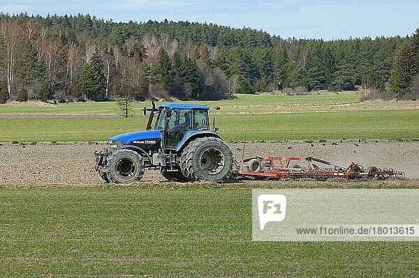 New Holland TM165 Traktor mit Eggen  Eggen-Feldsaatbett  Schweden  Mai  Europa