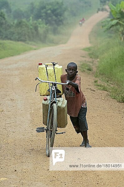 Junge schiebt mit vollen Wasserbehältern beladenes Fahrrad über staubige Straße  Juni  Uganda  Afrika