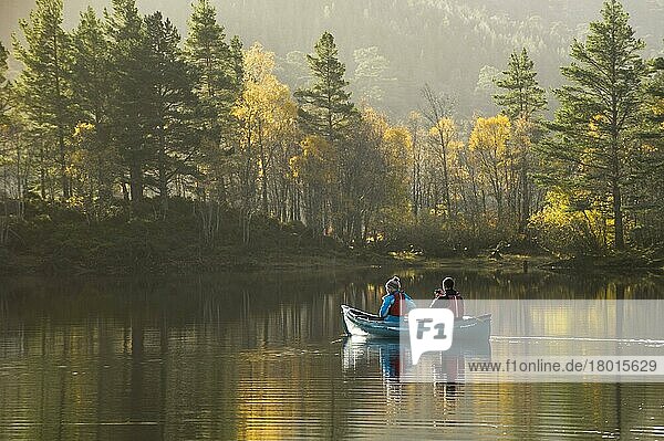 Kanufahrten für Paare auf einem Süßwassersee  mit Waldkiefer (Pinus sylvestris) und Silberbirke  Betula-Wald am Ufer  Loch Beinn a' Mheadhoin  Glen Affric  Inverness-shire  Highlands  Schottland  November