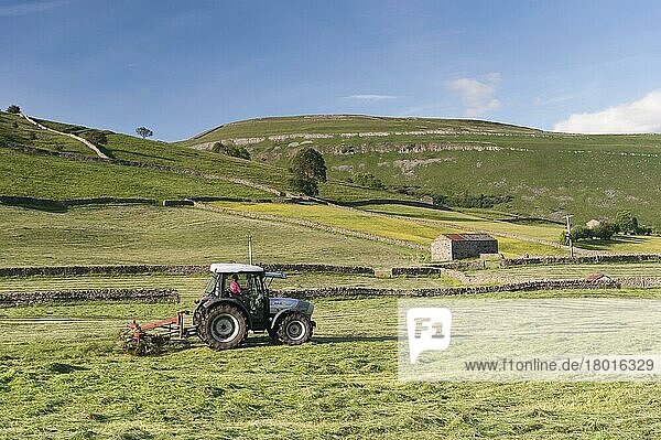 Hurlimann-Traktor mit Zettwender  Heuwender auf Bergwiese  Muker  Swaledale  Yorkshire Dales N. P. North Yorkshire  England  Juni