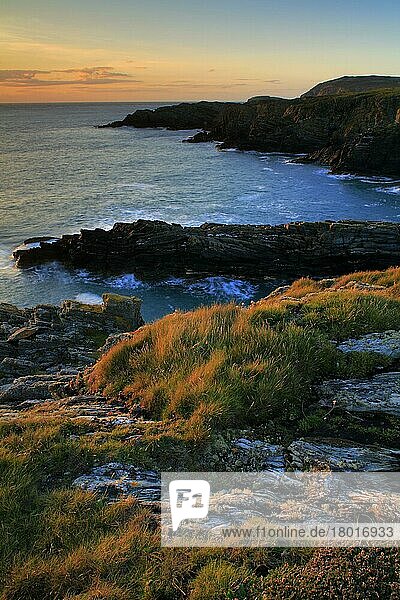 Blick auf Küstenlinie und Klippen bei Sonnenuntergang  South Stack Cliffs RSPB Reserve  Anglesey  Wales  September