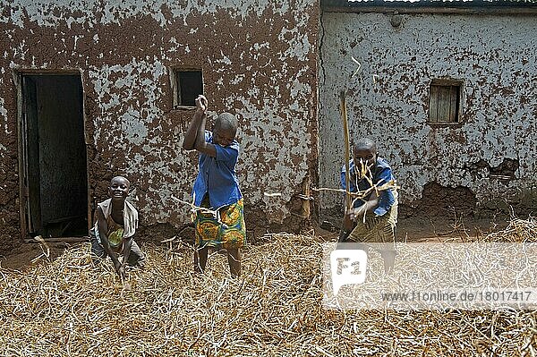Kinder dreschen die Bohnenernte mit Stöcken vor ihrem Haus. Ruanda