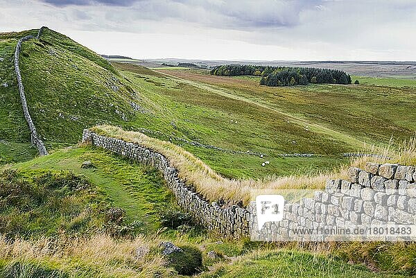 Überreste römischer Befestigungsanlagen auf Moorland  Blick nach Westen in Richtung Fore Plantation  Hadrianswall  Northumberland N. P. Northumberland  England  Oktober