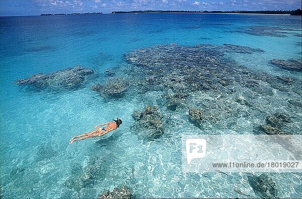 Woman looking at coral while snorkeling in lagoon of Manihi Island  Pacific Ocean  South Pacific  French Polynesia  Oceania