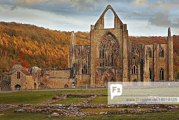 Zisterzienser-Klosterruinen  Tintern Abbey  Tintern  Wye Valley  Monmouthshire  Wales  Herbst