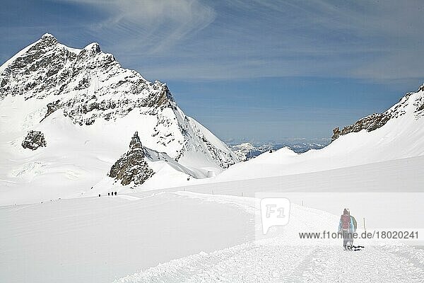 Hiker on snow-covered mountain  Monchsjochhüttenweg  Jungfraujoch  Bernese Alps  Switzerland  Europe