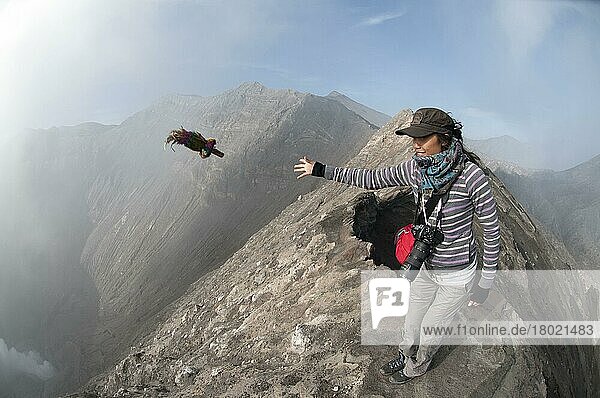Tourist throwing offering into smoke vent of volcano  Mount Bromo  Bromo Tengger Semeru N. P. East Java  Indonesia  Asia