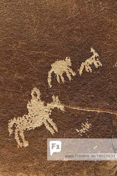 Ute Rock Art  Petroglyphen der Ureinwohner Amerikas in Sandsteinfelsen  zeigt stilisiertes Pferd und Reiter umgeben von Dickhornschafen  geschnitzt zwischen 1650 und 1850 n. Chr